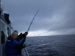 Cod Fishing18